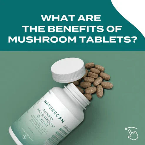 Lion's Mane & Chaga Mushroom Supplement Capsules - Naturecan
