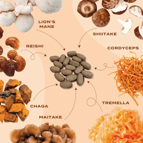 Lion's Mane & Chaga Mushroom Supplement Capsules - Naturecan
